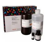 Thermo Fisher Scientific Pierce Silver Stain Kit, 1 L