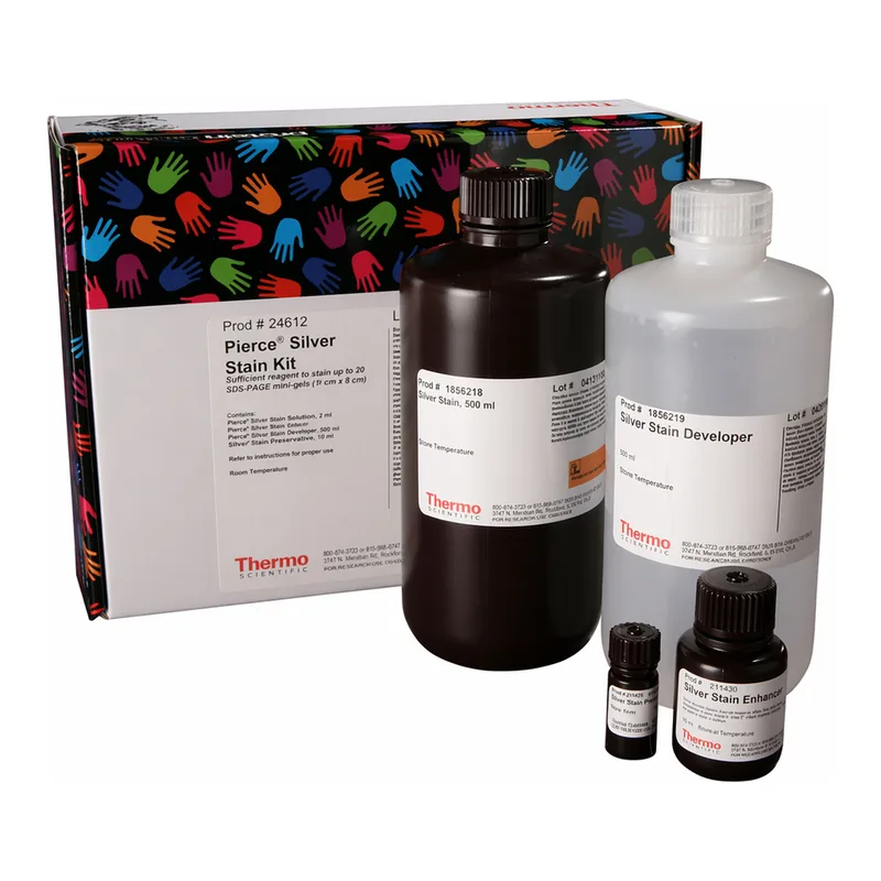 Thermo Fisher Scientific Pierce Silver Stain Kit, 1 L