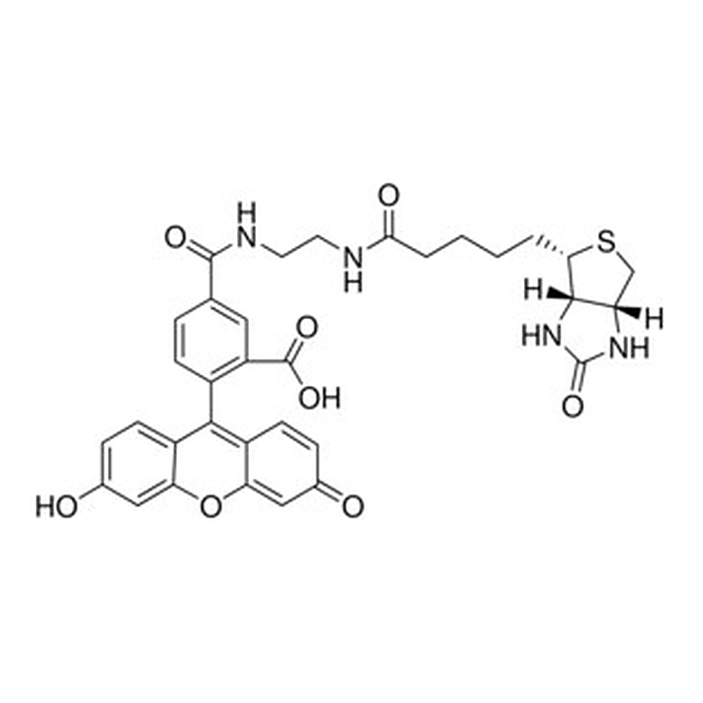 Merck BIOTIN (5-FLUORESCEIN) CONJUGATE BIOREA&