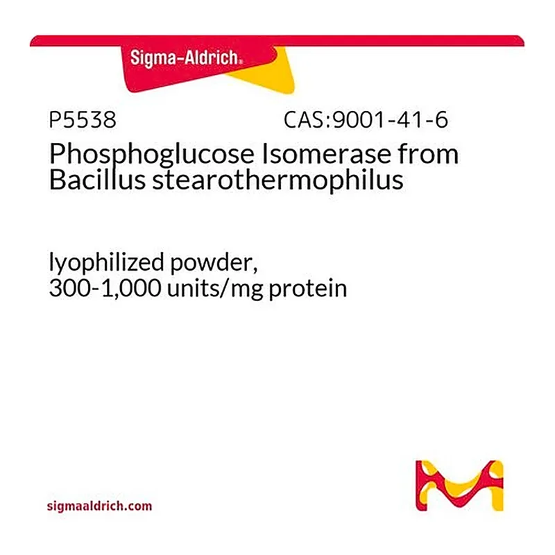 Merck Phosphoglucose Isomerase from Bacillus stearothermophilus