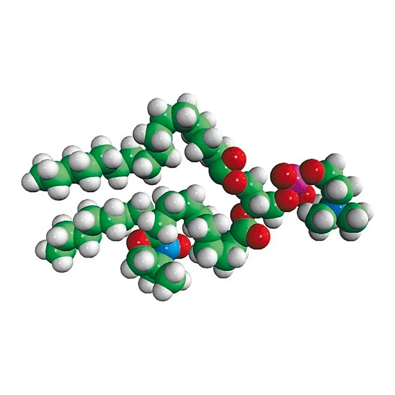 Merck 16:0-10 Doxyl PC