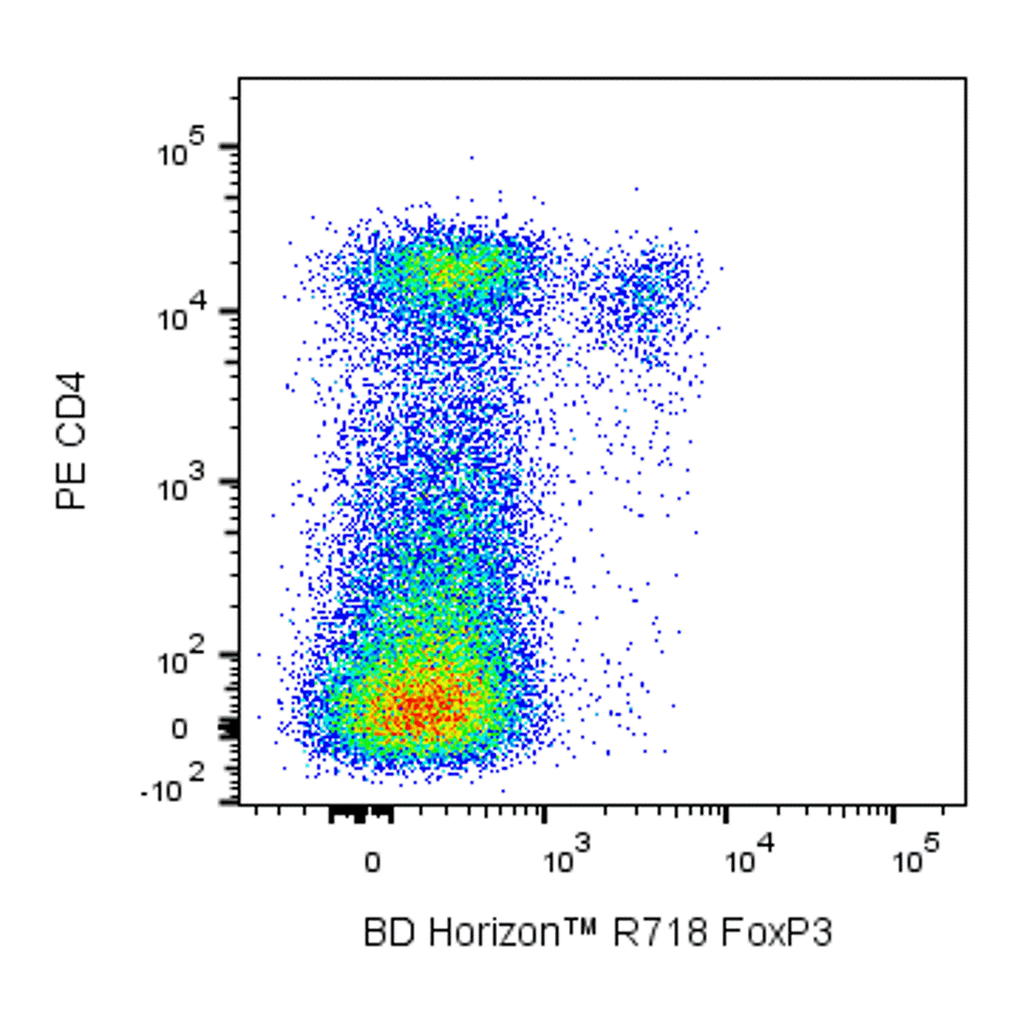 BD R718 Rat Anti-Mouse FoxP3