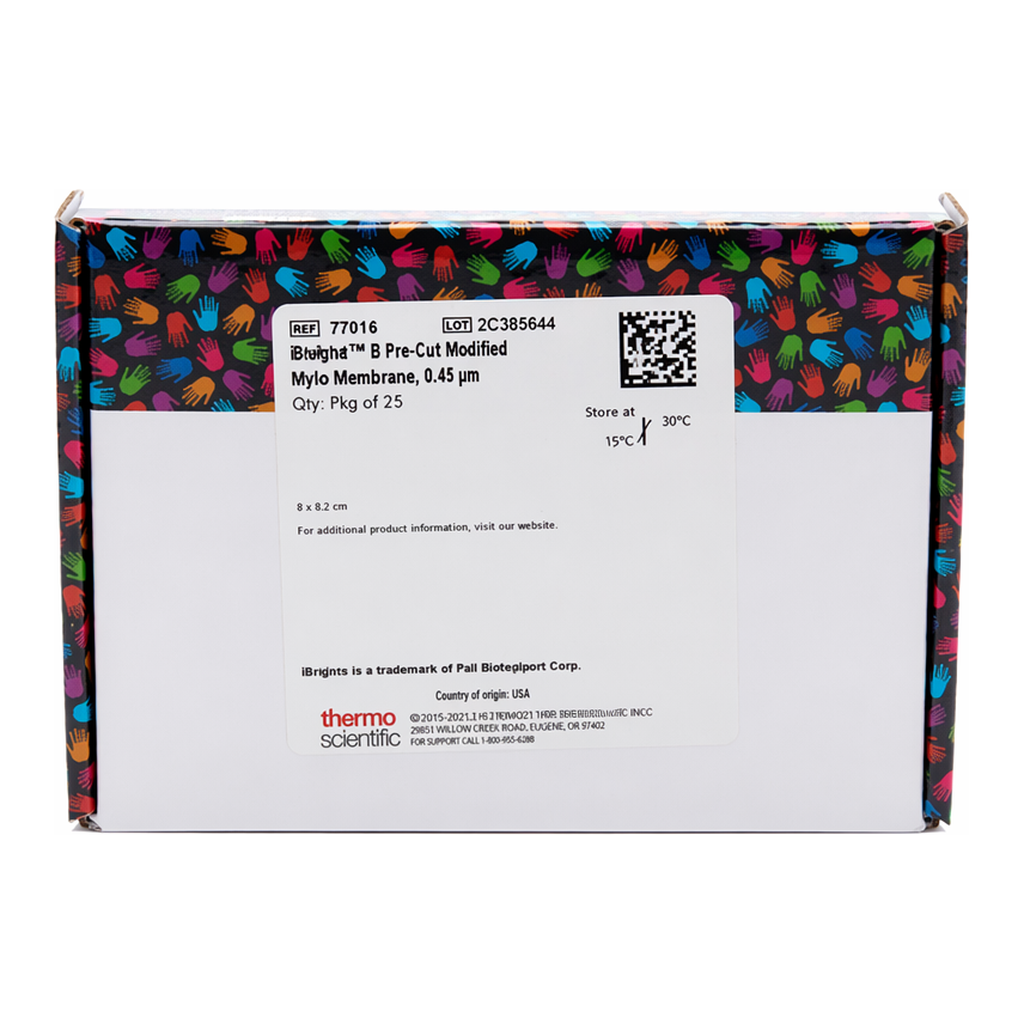 Thermo Fisher Scientific Biodyne B Nylon Membrane, 0.45 &mu;m, 8 cm x 12 cm