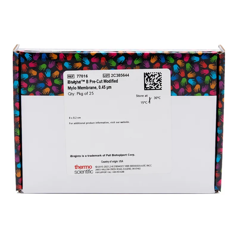Thermo Fisher Scientific Biodyne B Nylon Membrane, 0.45 μm, 8 cm x 12 cm