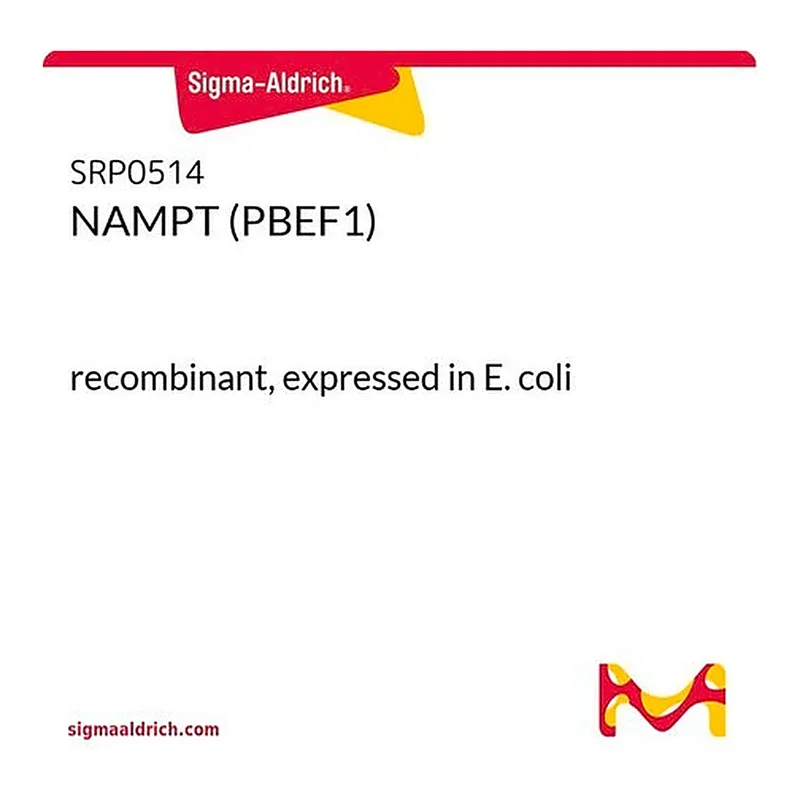 Merck NAMPT (PBEF1)