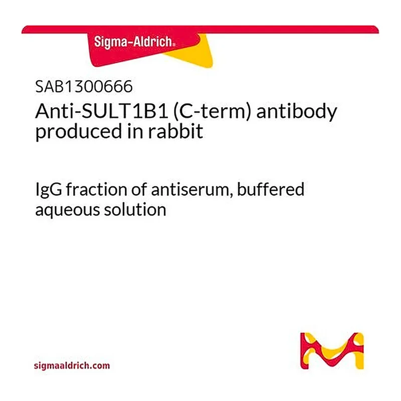 Merck Anti-SULT1B1 (C-term) antibody produced in rabbit