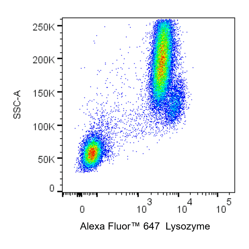 BD Alexa Fluor 647 Mouse Anti-Human Lysozyme
