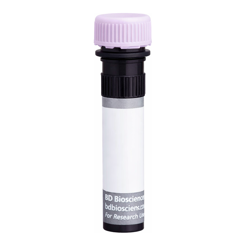 BD BUV395 Mouse Anti-Rat High Affinity IgE Receptor