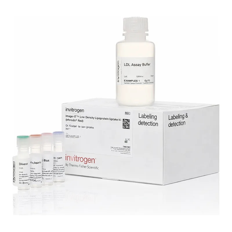 Thermo Fisher Scientific Image-iT Low Density Lipoprotein Uptake Kit, pHrodo Red