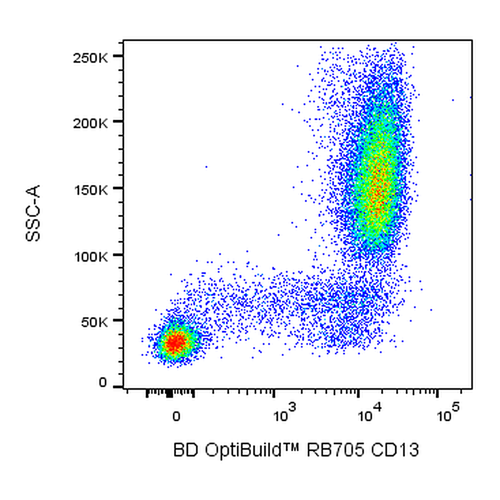 BD RB705 Mouse Anti-Human CD13