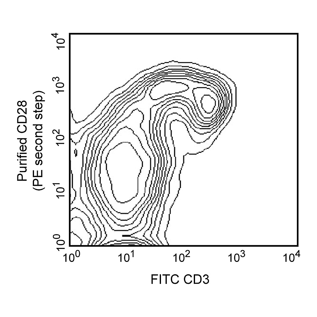 BD Purified Mouse Anti-Rat CD28