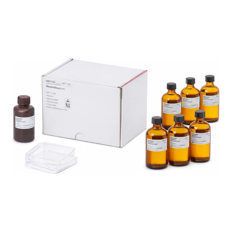 Thermo Fisher Scientific WesternBreeze Chromogenic Kit, anti-mouse