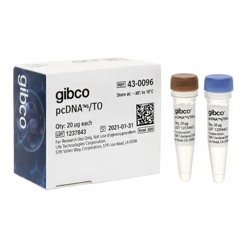 Thermo Fisher Scientific pcDNA5/TO Mammalian Expression Vector