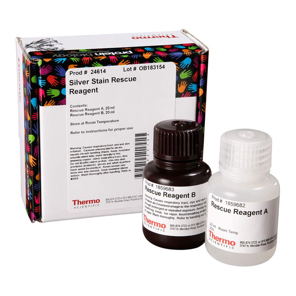 Thermo Fisher Scientific Pierce Silver Stain Rescue Reagent