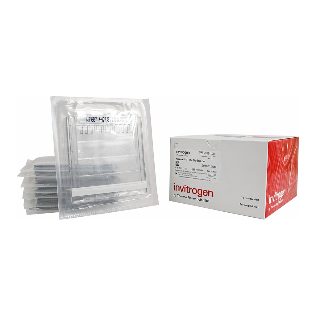 Thermo Fisher Scientific NuPAGE 4 to 12%, Bis-Tris, 1.0 mm, Mini Protein Gel, 10-well, 10 gels (1 box)