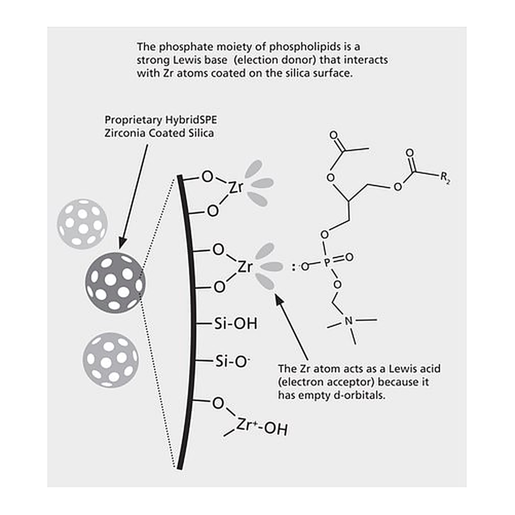 Merck PK30 HYBRIDSPE-PHOSPHOLIPID 500MG/6ML &