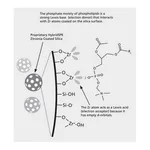 Merck PK30 HYBRIDSPE-PHOSPHOLIPID 500MG/6ML &