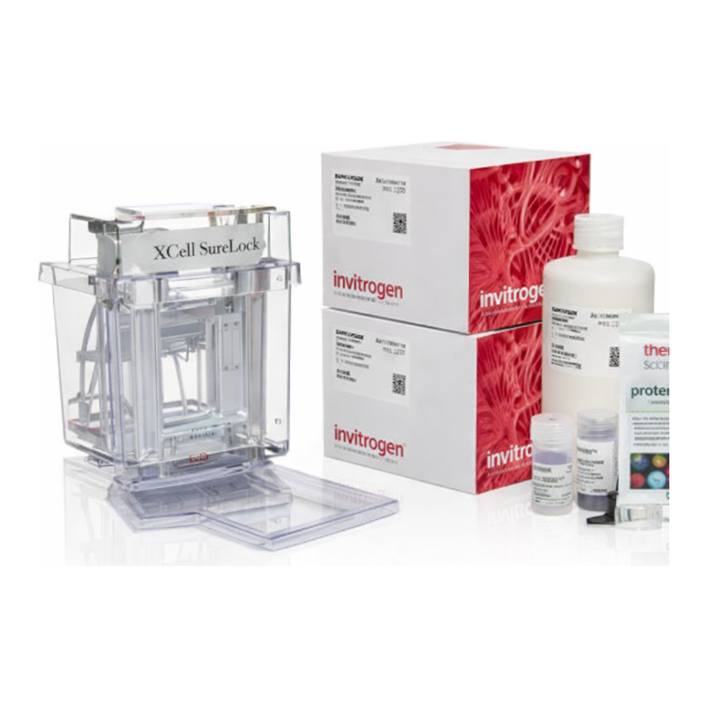 Thermo Fisher Scientific NuPAGE Bis-Tris IPG-well Welcome Pack