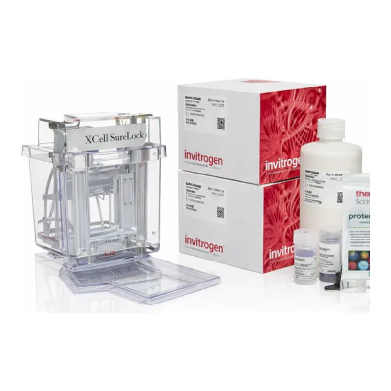 Thermo Fisher Scientific NuPAGE Bis-Tris IPG-well Welcome Pack