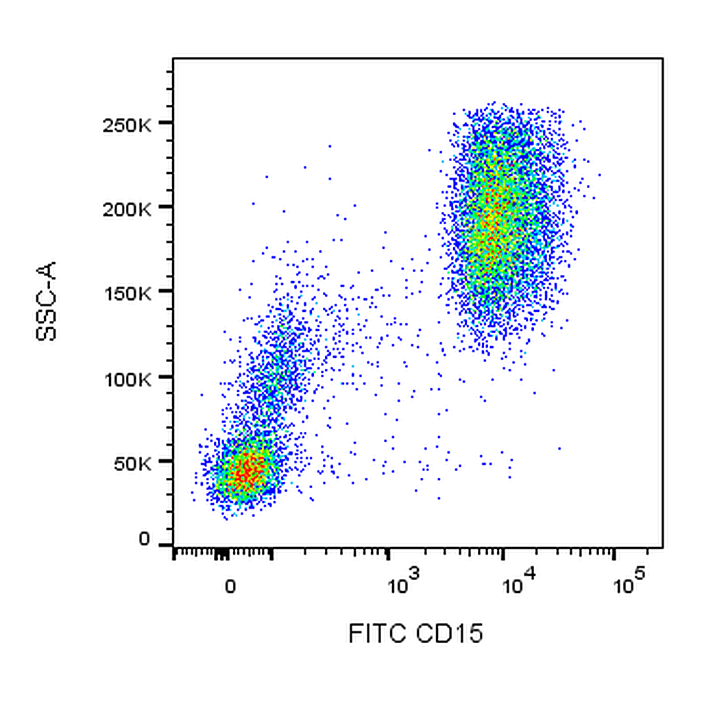 BD FITC Mouse Anti-Human CD15