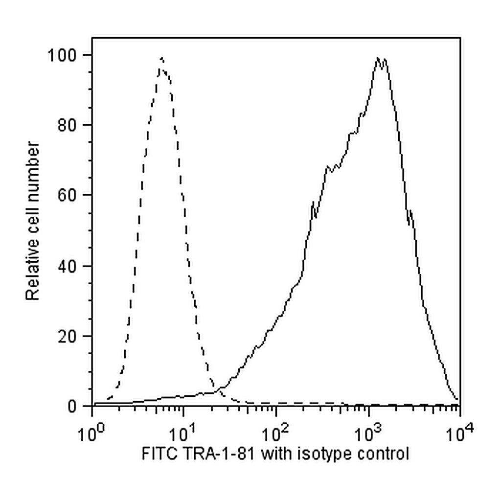 BD FITC Mouse anti-Human TRA-1-81 Antigen