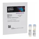 Thermo Fisher Scientific MitoProbe DiOC2(3) Assay Kit - For Flow Cytometry - 100 Assays