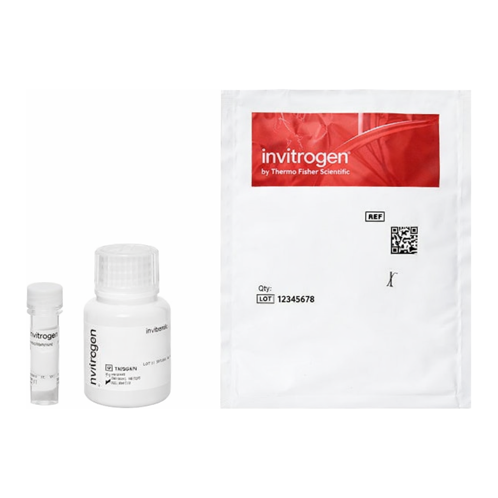 Thermo Fisher Scientific Qdot 525 ITK Streptavidin Conjugate Kit