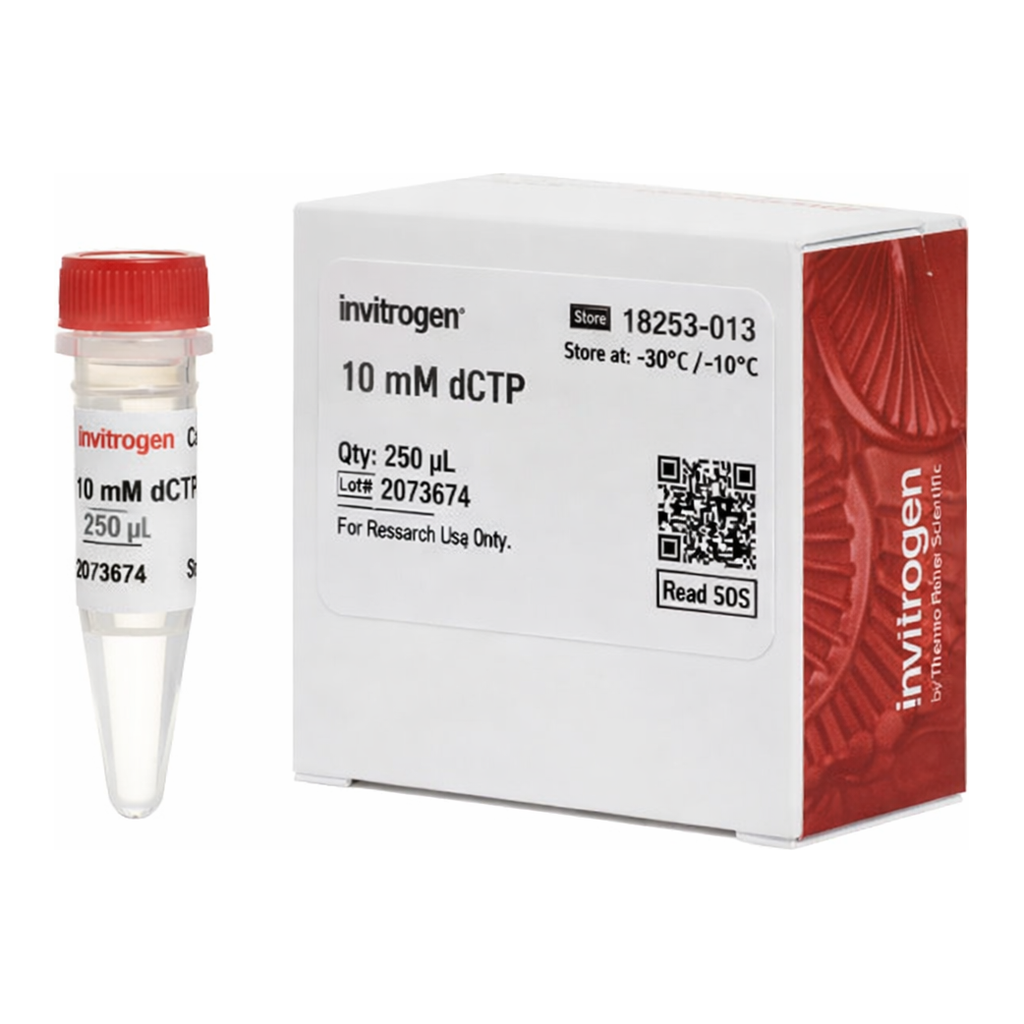 Thermo Fisher Scientific dCTP (10 mM)