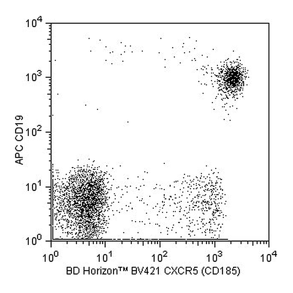 BD BV421 Rat Anti-Human CXCR5 (CD185)