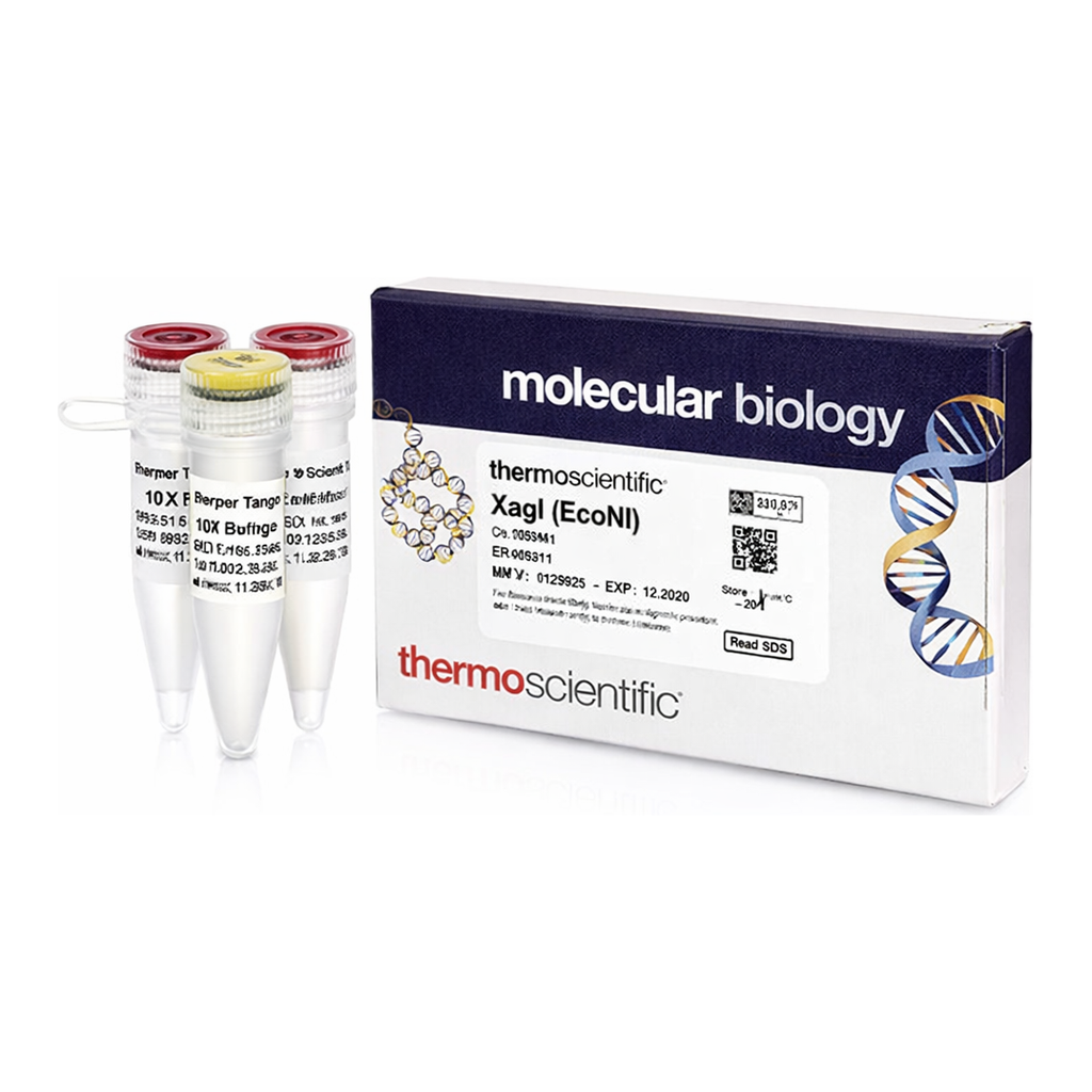 Thermo Fisher Scientific XagI (EcoNI) (10 U/&mu;L)