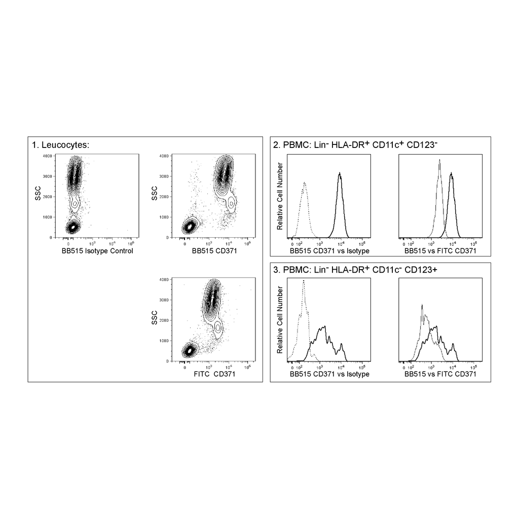 BD BB515 Mouse Anti-Human CD371 (Clec12A)