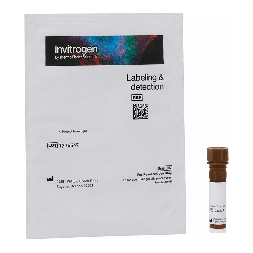 Thermo Fisher Scientific Dolichos Biflorus (Horse Gram) Agglutinin (DBA), fluorescein (FITC)