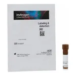 Thermo Fisher Scientific Dolichos Biflorus (Horse Gram) Agglutinin (DBA), fluorescein (FITC)