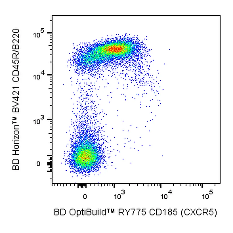 BD RY775 Rat Anti-Mouse CD185 (CXCR5)