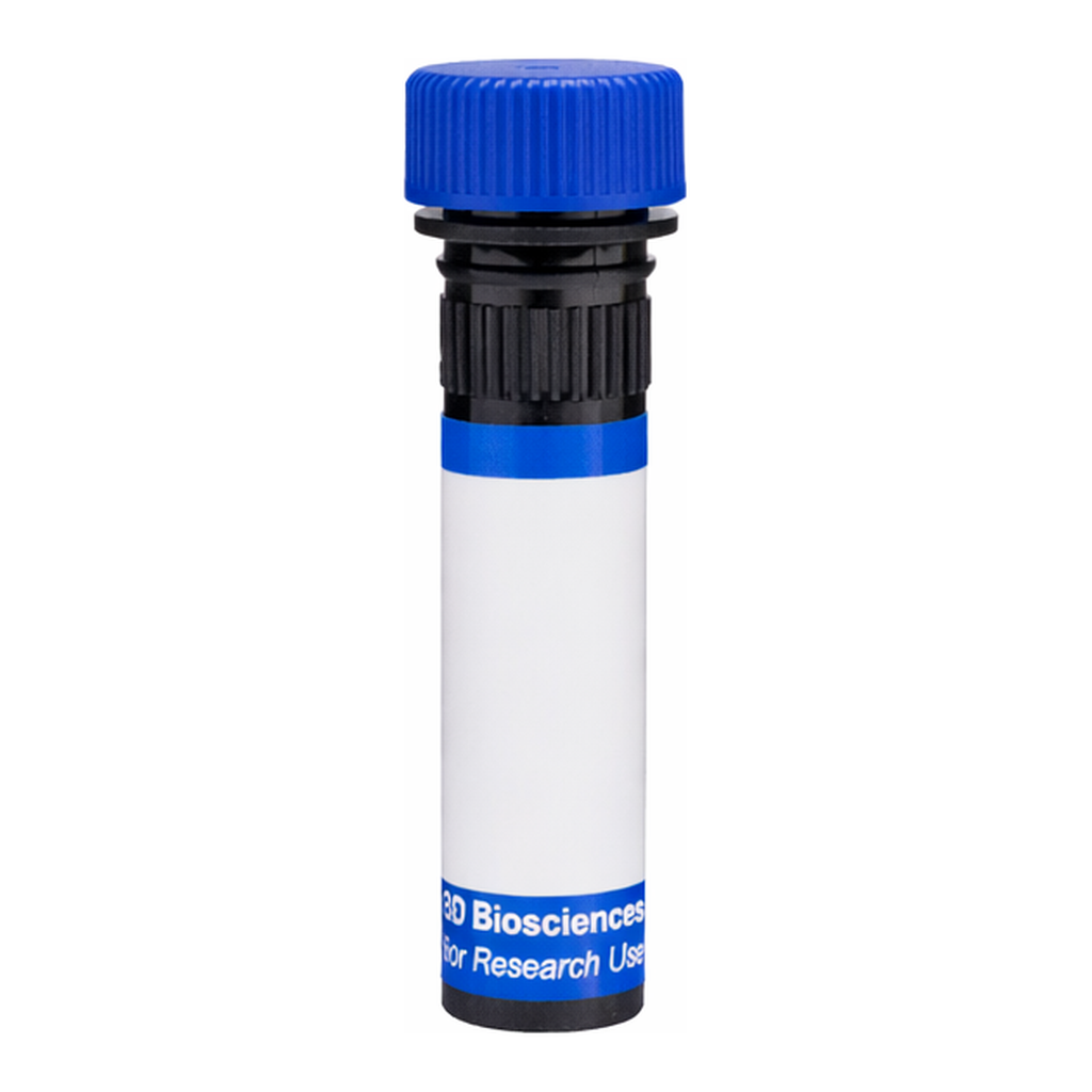 BD RB780 Hamster Anti-Mouse Vγ 2 T-Cell Receptor