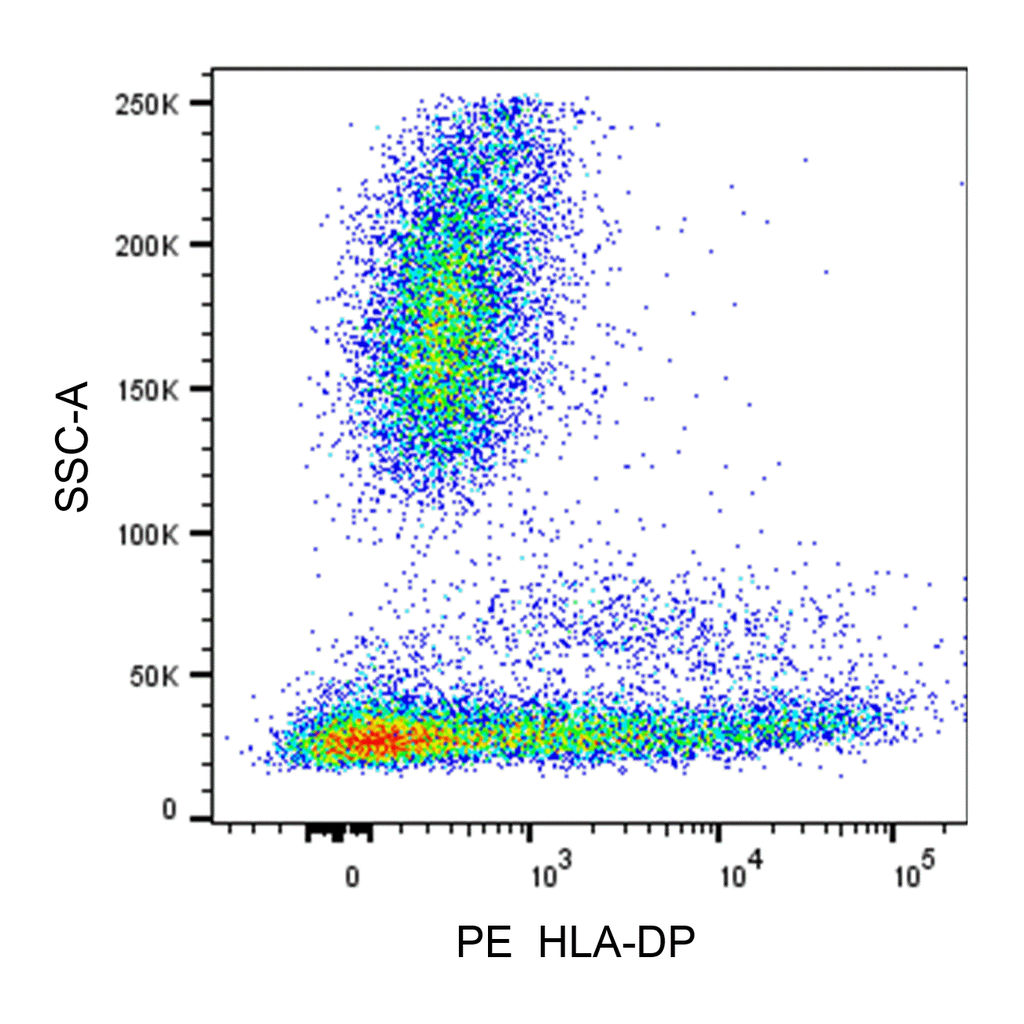 BD PE Mouse Anti-Human HLA-DP