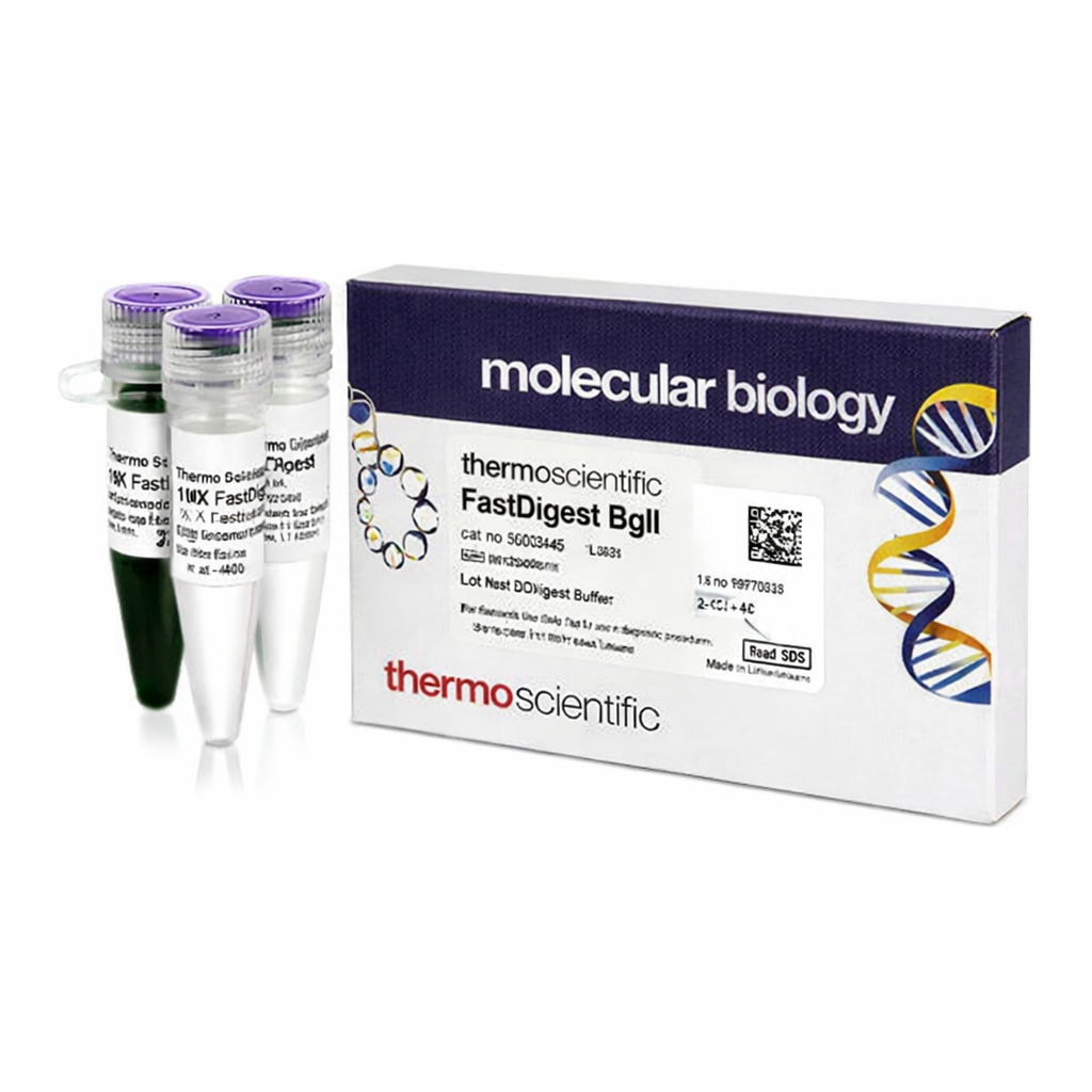 Thermo Fisher Scientific FastDigest BglI