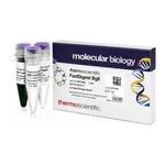 Thermo Fisher Scientific FastDigest BglI