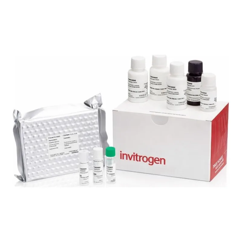Thermo Fisher Scientific Rat Estradiol Rapid ELISA Kit