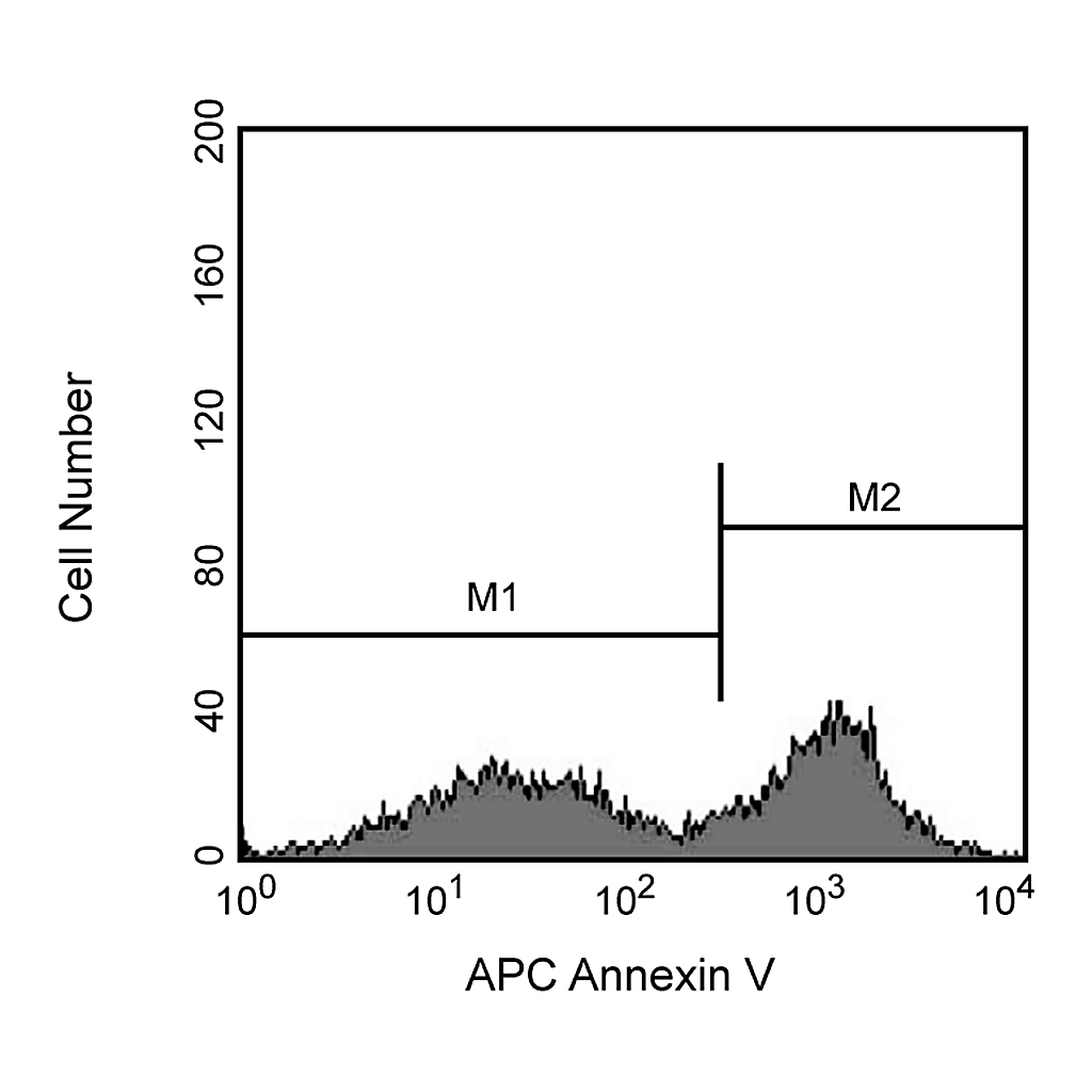BD APC Annexin V