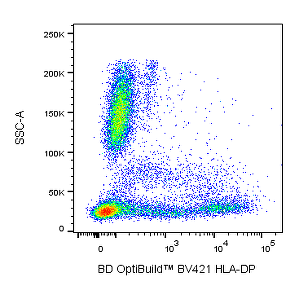 BD BV421 Mouse Anti-Human HLA-DP