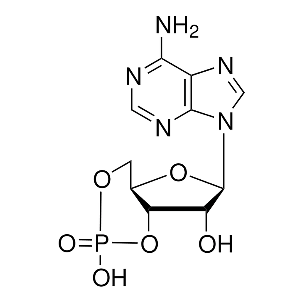 Merck ADENOSINE 3``:5``-CYCLIC MONOPHOSPHATE &