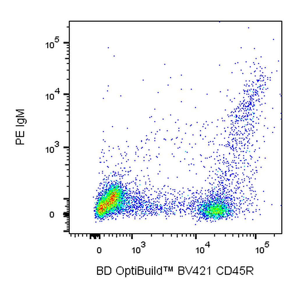 BD BV421 Mouse Anti-Rat CD45R