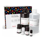 Thermo Fisher Scientific Pierce Silver Stain for Mass Spectrometry