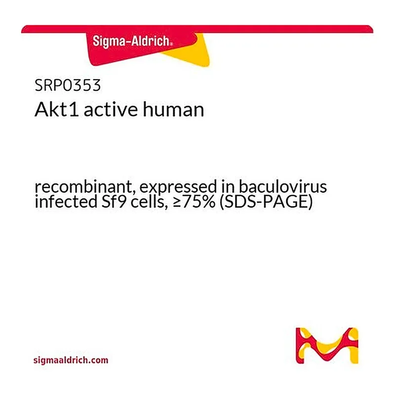 Merck Akt1 active human