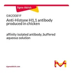 Merck Anti-Histone H1,1 antibody produced in chicken