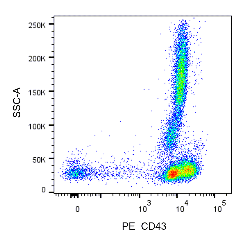 BD PE Mouse Anti-Human CD43