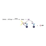 Merck Transcreener(R) UDP2 TR-FRET Assay