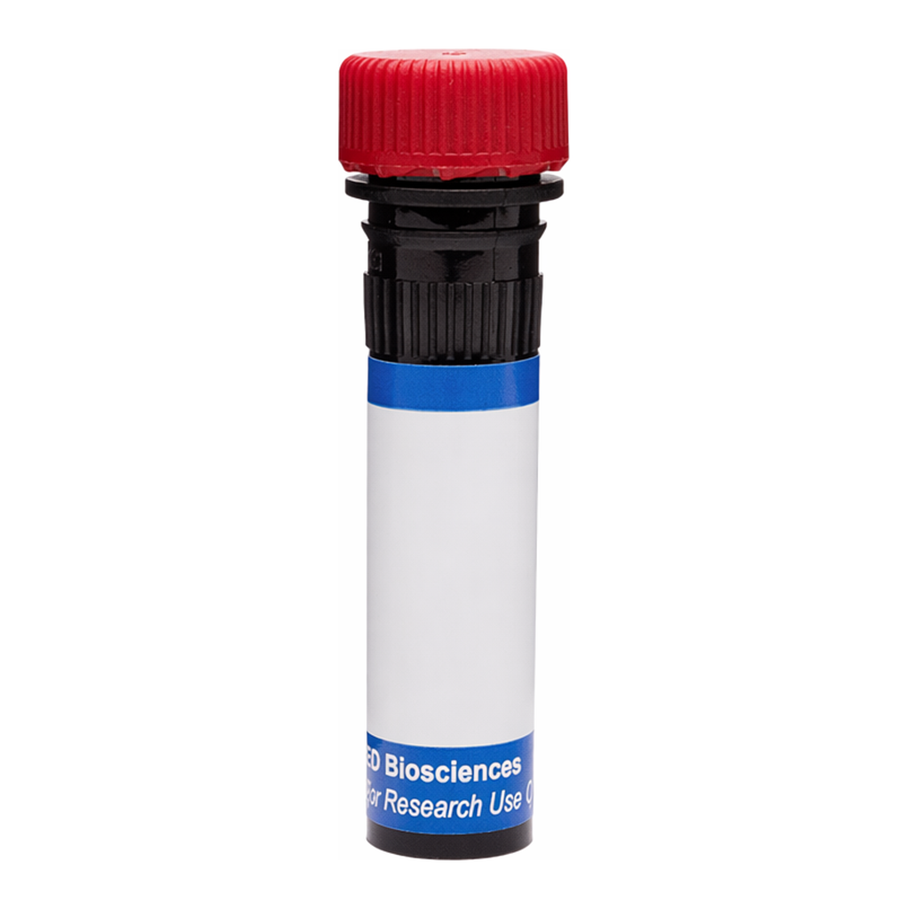 BD RB670 Mouse Anti-Human CD243 (P-glycoprotein)