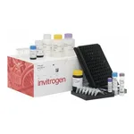 Thermo Fisher Scientific ProcartaPlex Human Coagulation Panel, 5plex